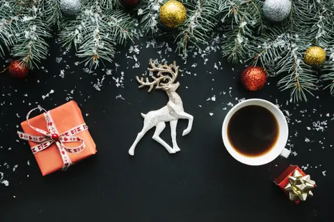 Кот в Новый Год