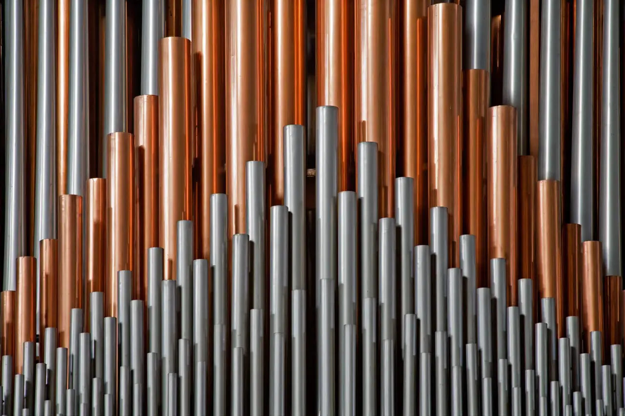 Абонемент № 41. Organum